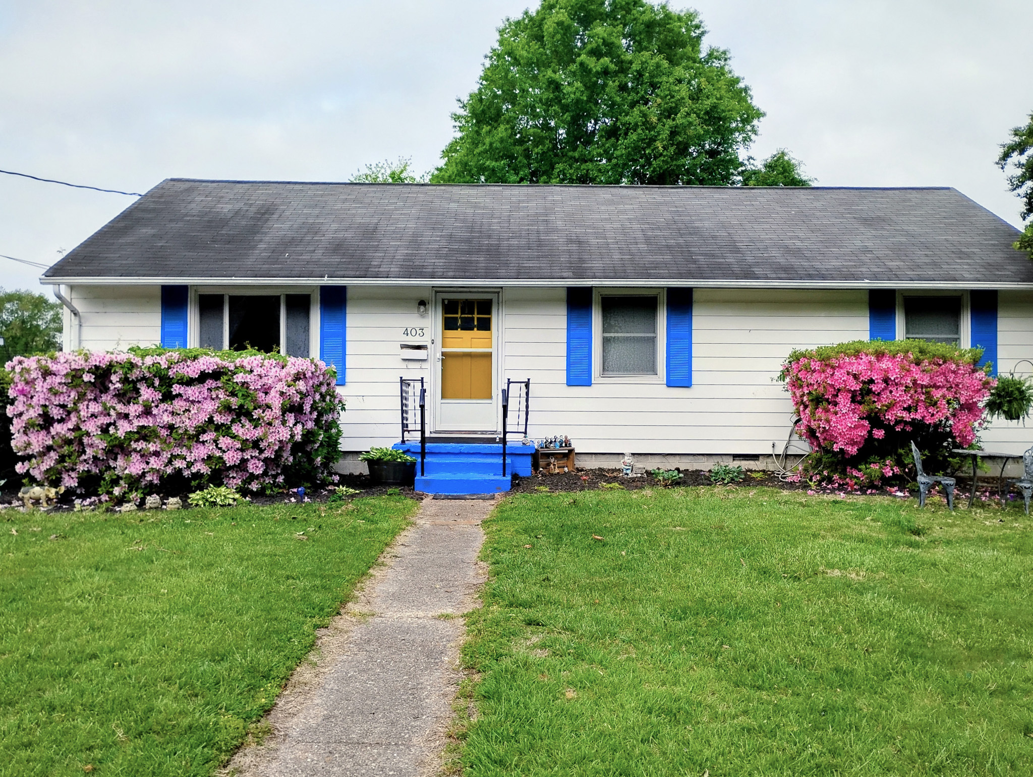 Single-story white house with blue shutters and a yellow front door, bordered by two large blooming pink azalea bushes and a concrete path leading to the entrance belonging to sponsored residential provider Lila Hensley.